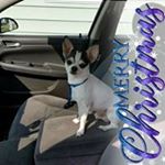 Profile Picture of David Yeary (@david.yeary) on Instagram