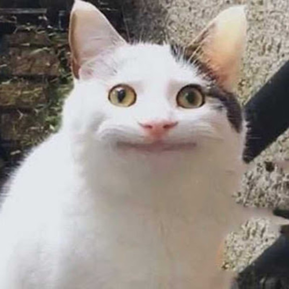 Alexis Farfan - Poshmark Profile Picture of Alexis Farfan (@af978006) on Poshmark