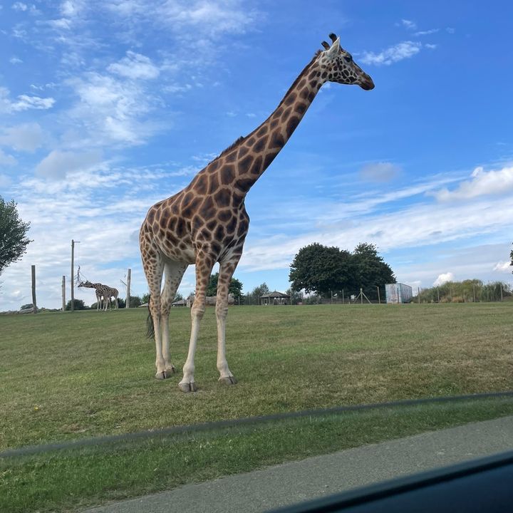 Profile Picture of Jimmy Redford (@jimmyboy1236) on Tiktok