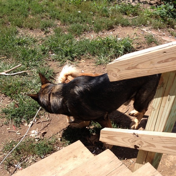 Profile Picture of Joseph Huffman (@msidvd2006) on Poshmark