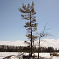 Profile Picture of John Devries (@john-devries-33) on Quora