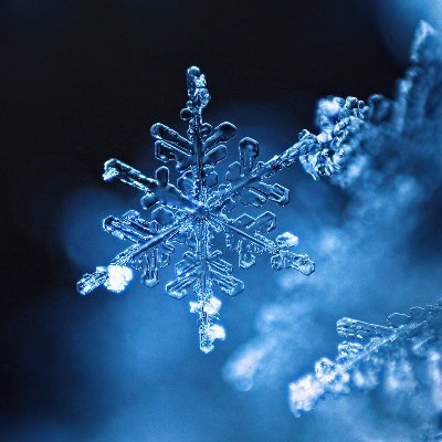 Profile Picture of Horace Zhang (@zhang_horace) on Twitter