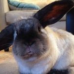 Profile Picture of Mark Waddell (@mark_waddell_) on Instagram