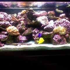 Profile Picture of Chris Falcone (@@user359534931) on Tiktok