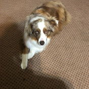 Profile Picture of Abraham Paulino (@abrahampaulino5357) on Youtube