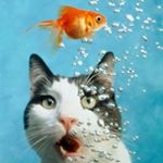 Profile Picture of ちょち (@choooooochi3624) on Instagram