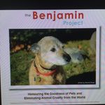 Profile Picture of Stuart Burdett (@the_benjamin_project) on Instagram