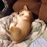 Profile Picture of Danielle Bolling (@dkbolling) on Instagram