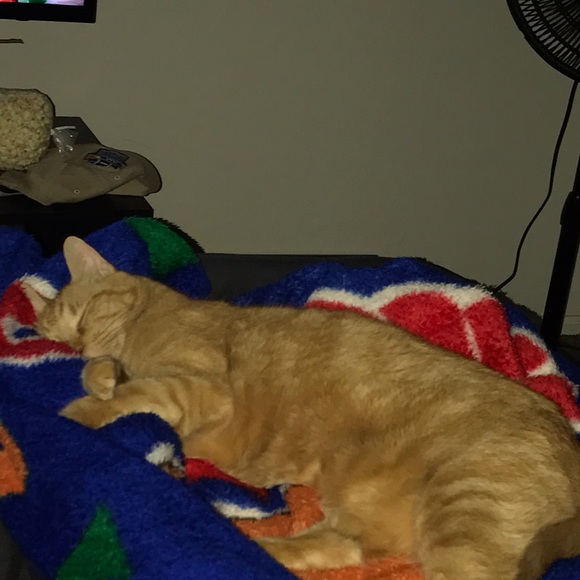 Profile Picture of Carlos Gonzales (@closgonzo) on Poshmark