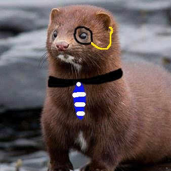 Profile Picture of Ray Nerz, The Rather Sophisticated Mink (@2Mink4You) on Twitter