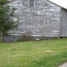 Profile Picture of Brandy Baldwin (@brandybaldwin) on Pinterest