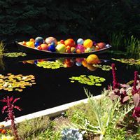 Profile Picture of Anne Hockmeyer (@ahockmeyer7) on Pinterest