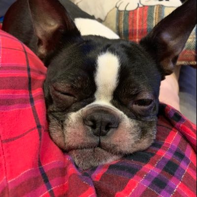 Profile Picture of Greg Donnelly (@GregDonnelly12) on Twitter