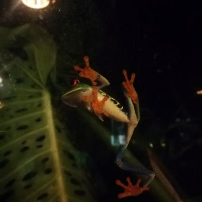 Jon Burdaspar - Twitter Profile Picture of Jon Burdaspar (@JonBurdasparOta) on Twitter