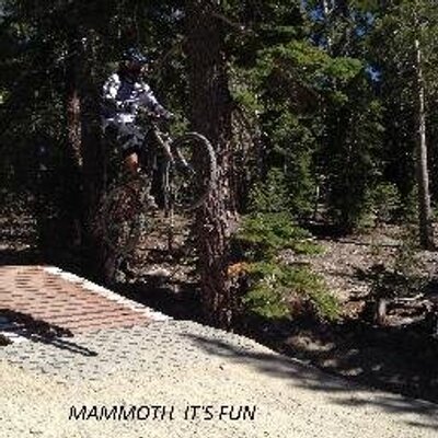 Edwin Polanco - Twitter Profile Picture of Edwin Polanco (@edwinpolanco18) on Twitter