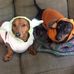 Profile Picture of Sherman Wilkinson (@sherman.wilkinson.5) on Facebook