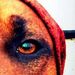 Profile Picture of Frouke Bezema (@froukebo) on Pinterest