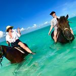 Profile Picture of Brian Evola (@bevola17) on Instagram