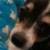 Profile Picture of 1 (@tristanbestww) on Tiktok