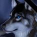 Profile Picture of Zach Koch (@zach.koch.1232) on Facebook