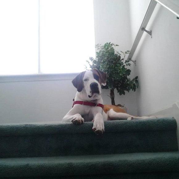 Profile Picture of Beth Witchey (@bwitchey54) on Poshmark