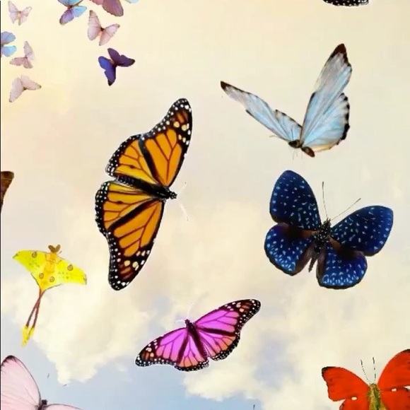 Profile Picture of Abby Cimarolli (@abbycimarolli7) on Poshmark