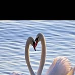 Profile Picture of Ravatar Bradley (@ravatar.bradley.9) on Facebook