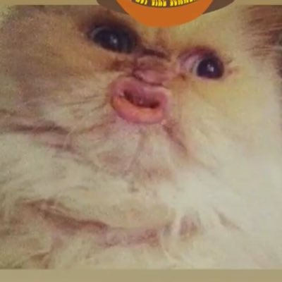 Profile Picture of Kramer Lance (@KramerLance1) on Twitter