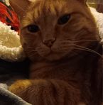 Profile Picture of Tami Armijo (@Tami-Armijo) on Facebook