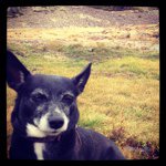 Profile Picture of curtisgalloway (@curtisgalloway) on Instagram