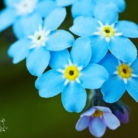 Maggie Lashutka - Quora Profile Picture of Maggie Lashutka (@maggie-lashutka) on Quora