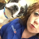 Profile Picture of Kayla Anne-Marie Harris (@kaypoochgroomer) on Instagram