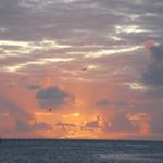 Profile Picture of Kyle Krall (@kyle_krall) on Instagram