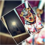 Profile Picture of fifi mimi (@azeffounww) on Instagram