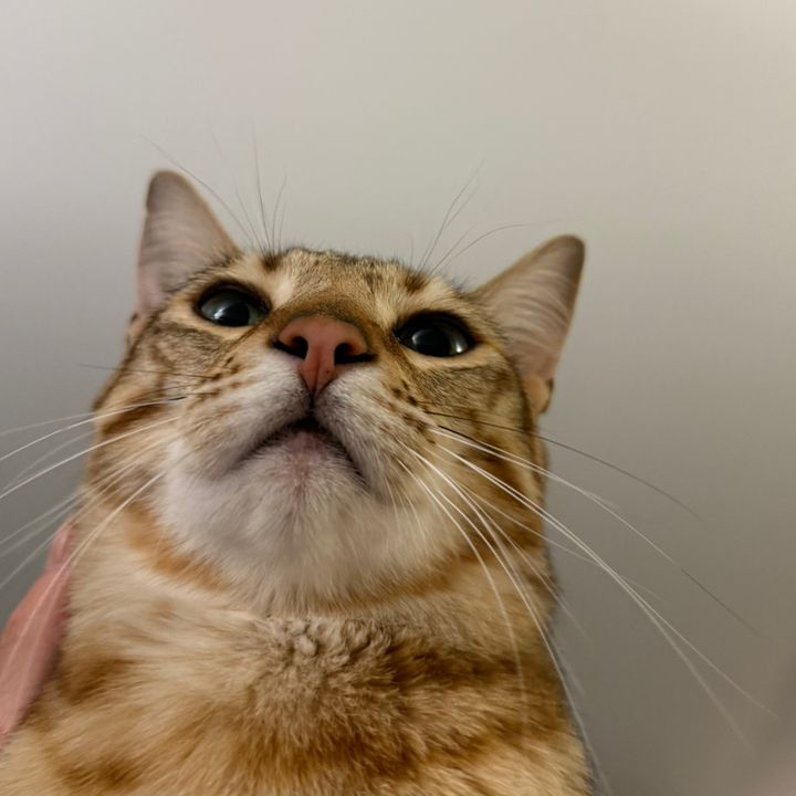 Profile Picture of Matthew Mun (@matthewmuney) on Tiktok