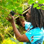 Profile Picture of Justin Sealy (@jsealy.eco) on Instagram