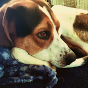 Profile Picture of Ethan Naccarato (@EthanNaccarato-z7j) on Youtube