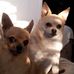 Profile Picture of Larry Ewert (@larry.ewert.1) on Facebook