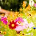 Profile Picture of Christina L-Therrien (@christinaltherrien) on Pinterest