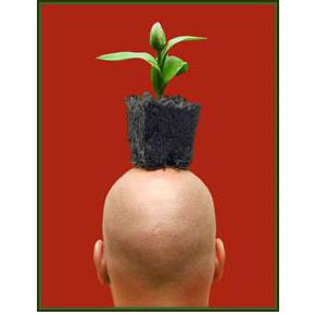 Profile Picture of Scott Gruber (@CalendulaFarm) on Twitter