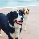 Profile Picture of Isabel Drabold (@izzy_dra) on Instagram