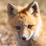 Profile Picture of Peter Coombes Photography (@peter.coombes) on Instagram