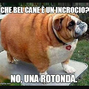 Mauro Mancini - Youtube Profile Picture of Mauro Mancini (@mauromancini1782) on Youtube