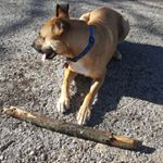 Profile Picture of Remington Alexander Moss (@remiboy19) on Instagram