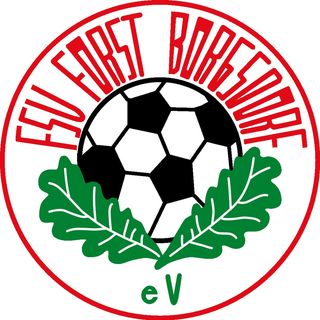 Profile Picture of FSV Forst Borgsdorf (@fsvforstborgsdorf) on Instagram
