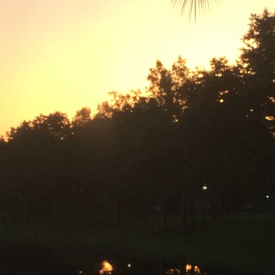 Profile Picture of Isabel (@isabel_fay) on Twitter