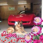 Profile Picture of Robert Mikkelsen (@robert.mikkelsen.75) on Instagram