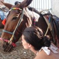 Profile Picture of Marie-philip Simard (@marie-philip-simard) on Quora