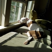 Profile Picture of Ronbo  (@ronbo) on Quora