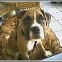 Profile Picture of Kathryn Petersen (@210163696) on Myspace